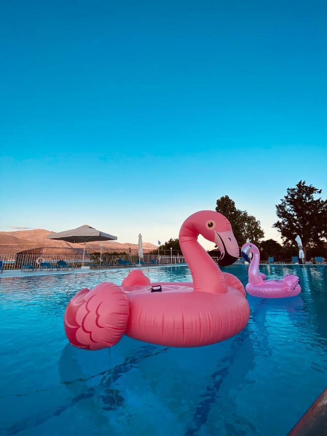 Terra Mare Hotel Agios Dimitrios  Eksteriør bilde